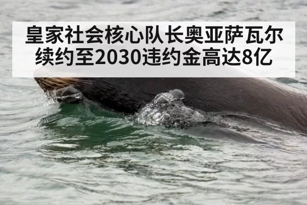 皇家社会核心队长奥亚萨瓦尔续约至2030违约金高达8亿